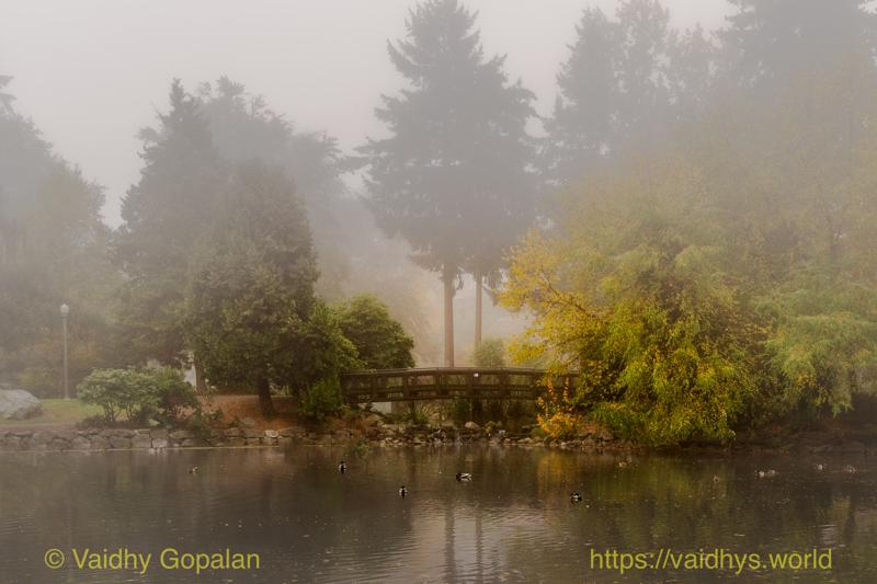 Wright Park and Stadium