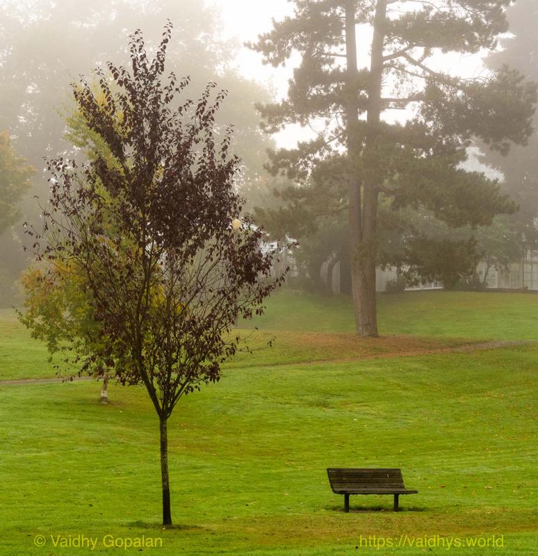 Wright Park and Stadium