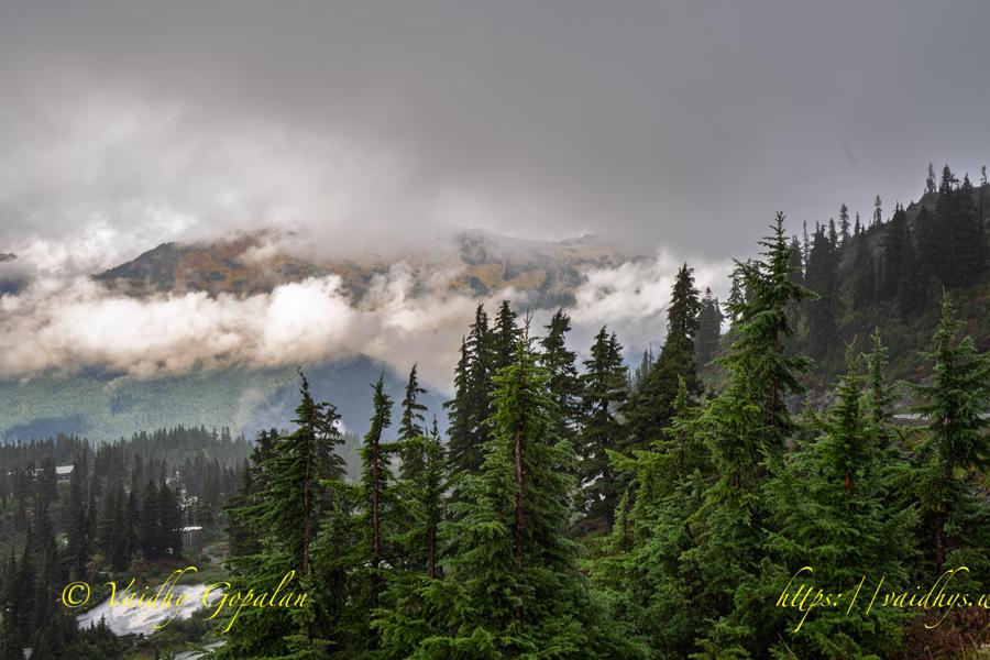 Drive to Artist Point, Deming
